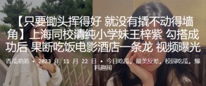 国产视频上海同校清纯小学妹王梓紫搭讪成功后宾馆曝光