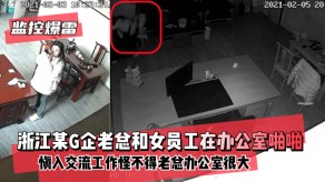 国产浙江某G企老总和女员工在办公室慎入交流工作2视频